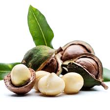 Macadamia Nut Oil 化妝品級澳洲堅果油