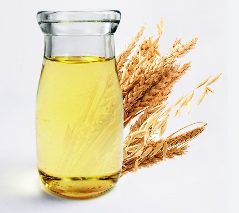 Wheat Germ Oil 化妝品級小麥胚芽沺