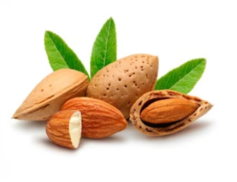 Sweet Almond Oil 化妝品級甜杏仁油