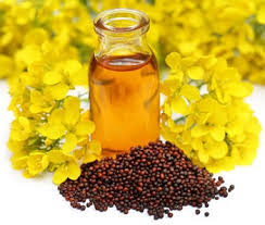 Canola oil 菜籽油