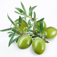 Olive Oil 化妝品級橄欖油