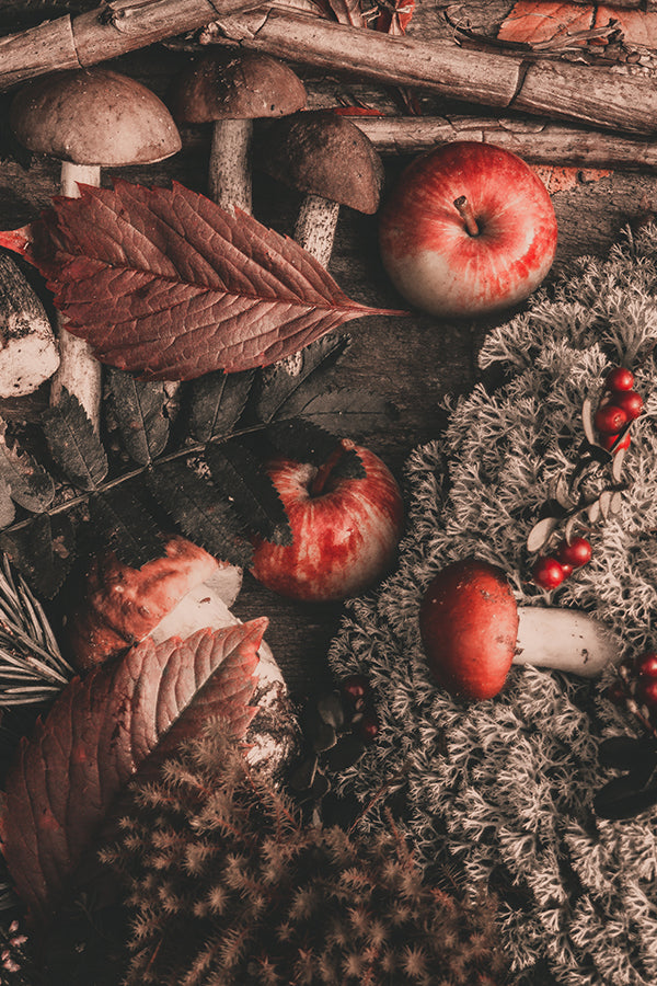 CW- Autumn Leaves & Moss