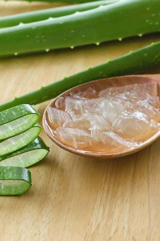 Aloe Vera Gel 蘆薈凝膠