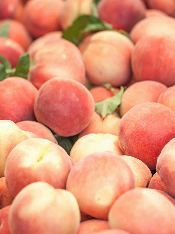 CW - Heavenly Peach
