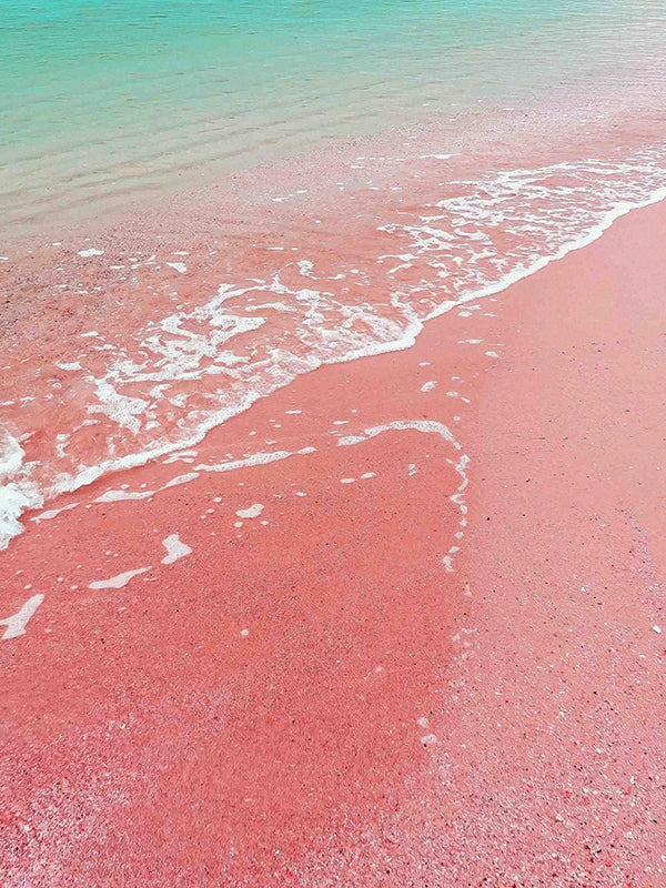 CW - Pink Sands (Yankee Candle Type)