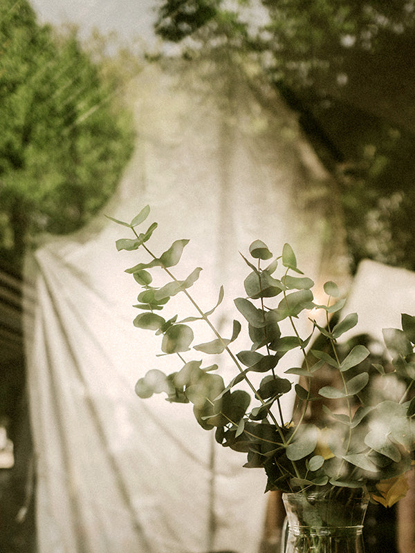 CW - Santal 33 (Le Labo Type)