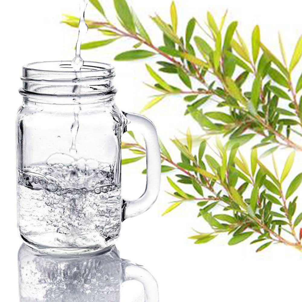 Tea Tree Water 茶樹水