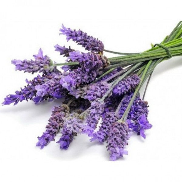 Lavender Water 薰衣草水