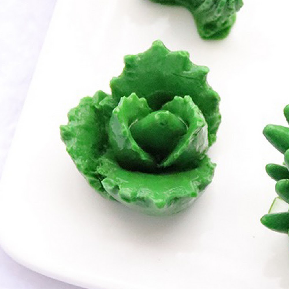 Cactus Mould #14 仙人掌模具 (Medium)