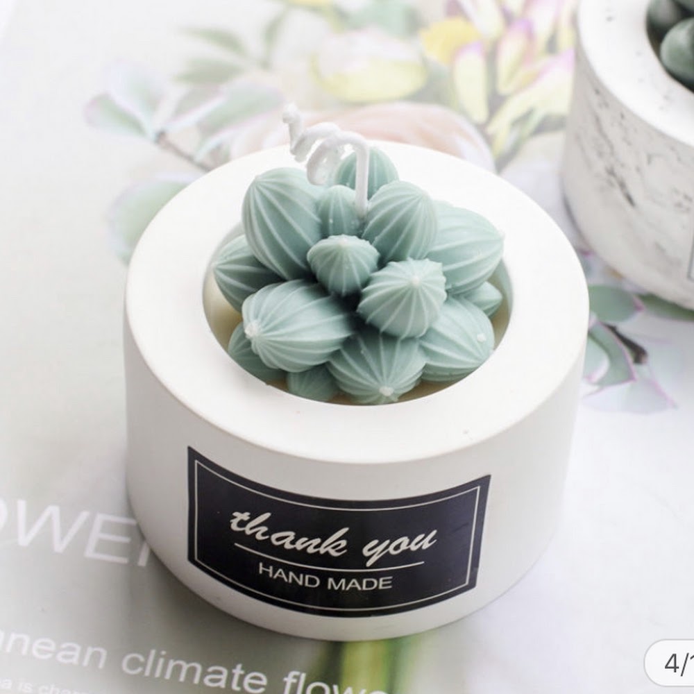 Cactus Mould #10 仙人掌模具 (Medium)