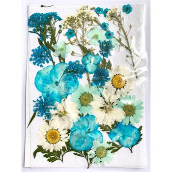 Pressed Dried Flower 壓花乾花包 隨機