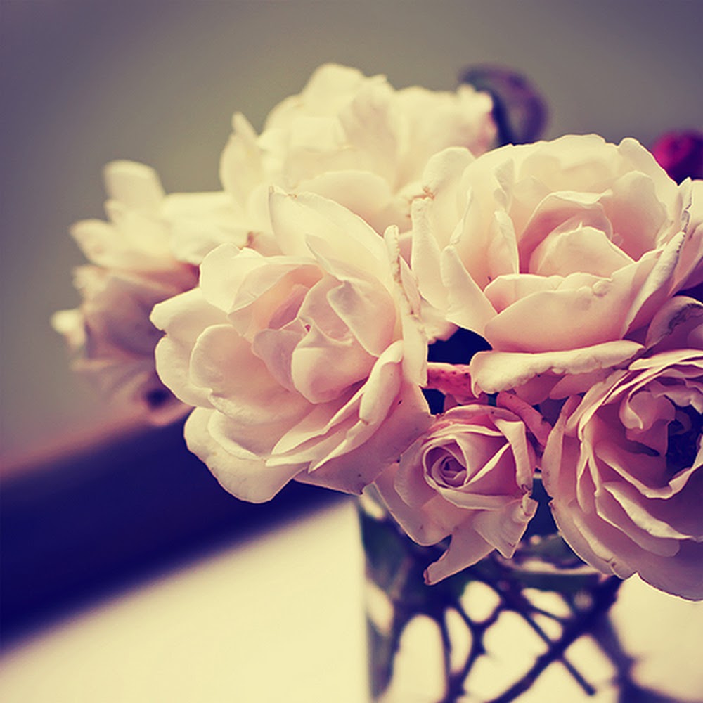 CW - Coco Mademoiselle 可可小姐(Chanel Type)