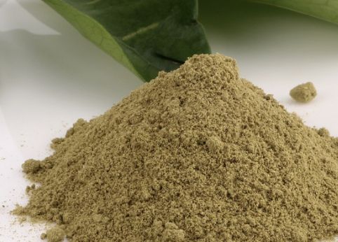 Platycladus orientalis leaf powder 側柏葉粉