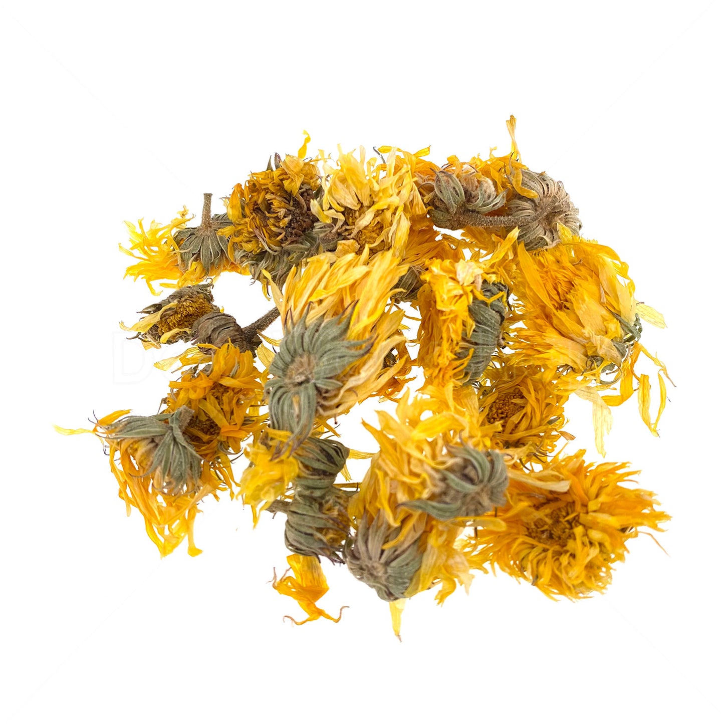 金盞花乾花