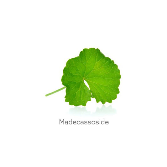 Madecassoside extract 化妝級草苷