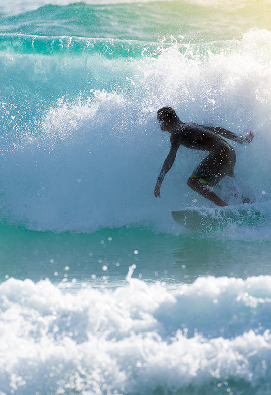 CW-Wind, Waves, Driftwood Surf